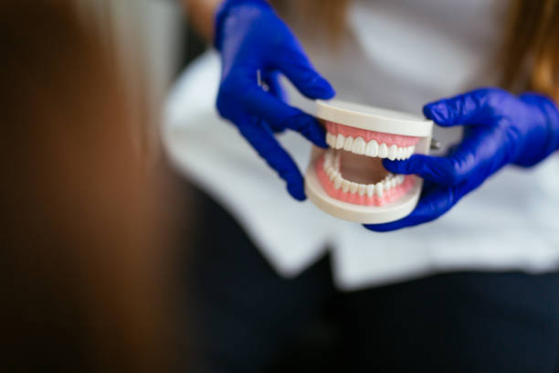 Best Pediatric Dentistry  in Kenhorst, PA